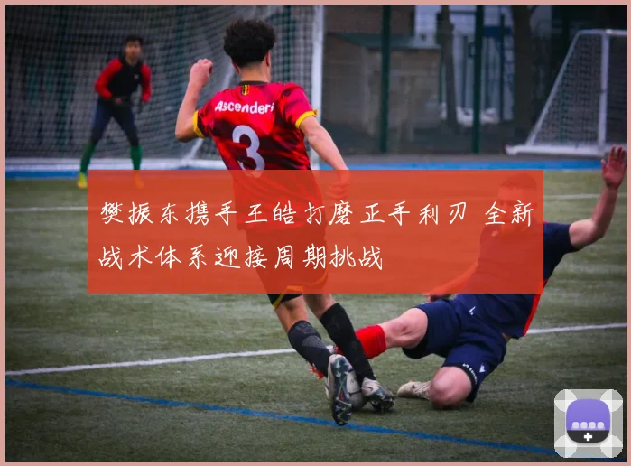 樊振东携手王皓打磨正手利刃 全新战术体系迎接周期挑战