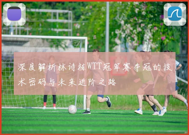 深度解析林诗栋WTT冠军赛夺冠的技术密码与未来进阶之路