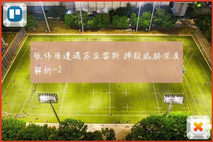 张伟丽遭遇苏亚雷斯 摔跤威胁深度解析