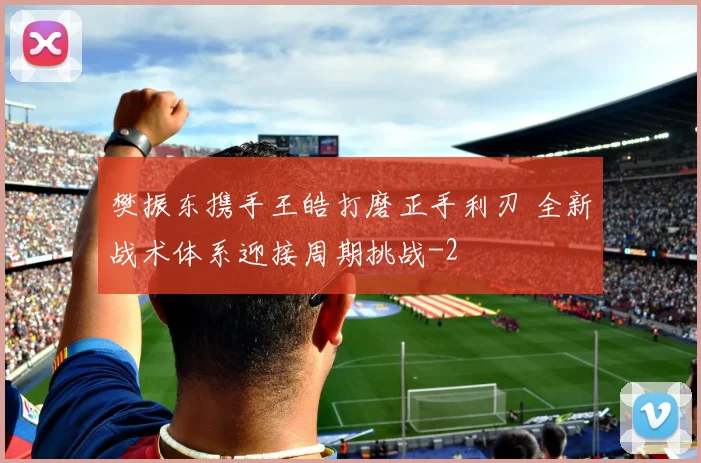 樊振东携手王皓打磨正手利刃 全新战术体系迎接周期挑战